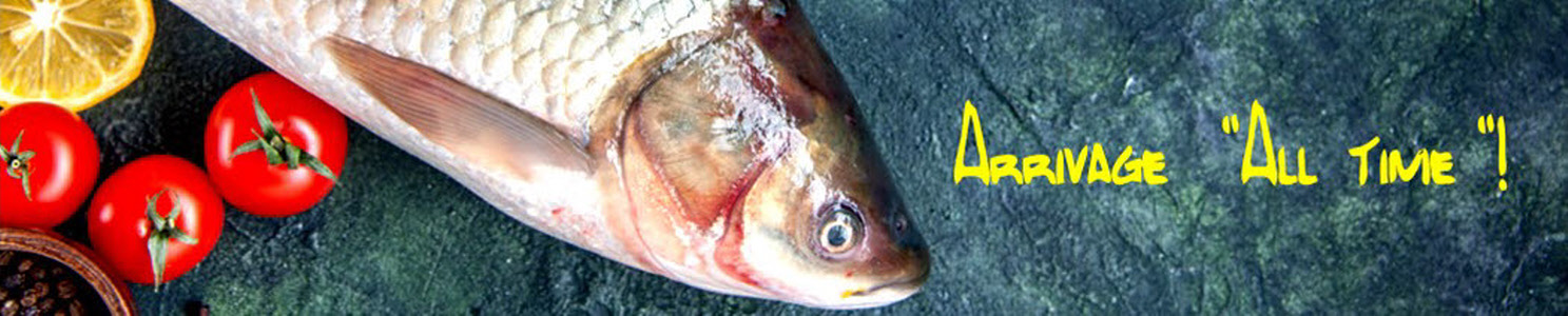 Tilapias, Maquereaux, Poissons Chat